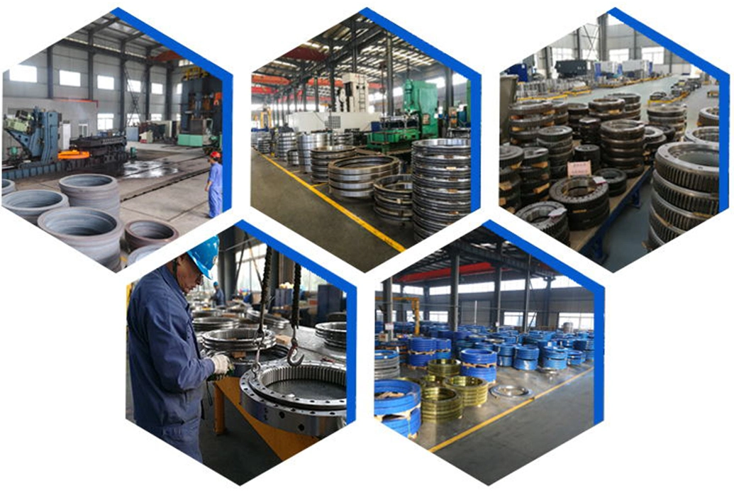 Single Cross Roller Slewing Bearing Manufacturer European Slewing Bearing